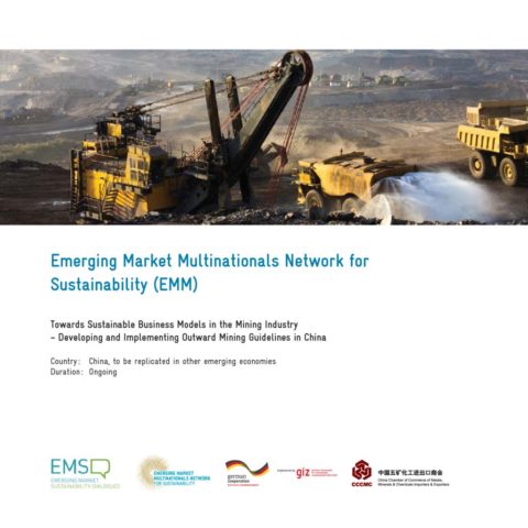 thumbnail of 20160303_EMM-Flyer_Mining