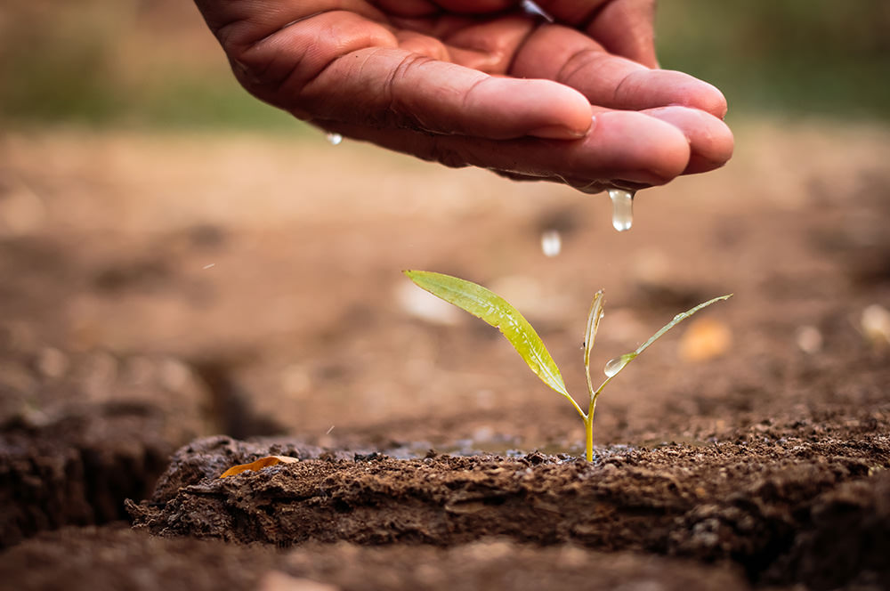 Workshop III: Seizing Business Opportunities – Investing in Eco-friendly Markets and Sustainable Business Practices